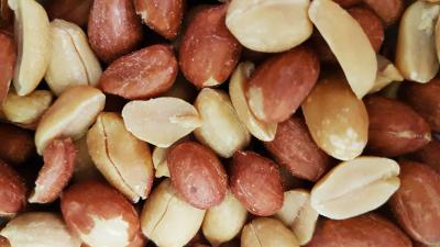 Tough Nuts: Why Peanuts Trigger Such Powerful Allergic Reactions