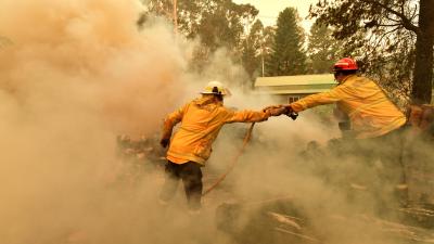 Australia Needs A National Crisis Plan, And Not Just For Bushfires