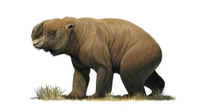 Did People Or Climate Kill Off The Megafauna? Actually, It Was Both