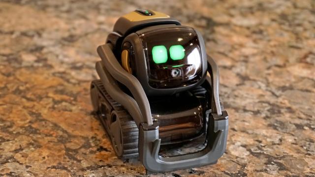 Anki's New Home Robot, Vector, Sure Is Cute. But Can It Survive?
