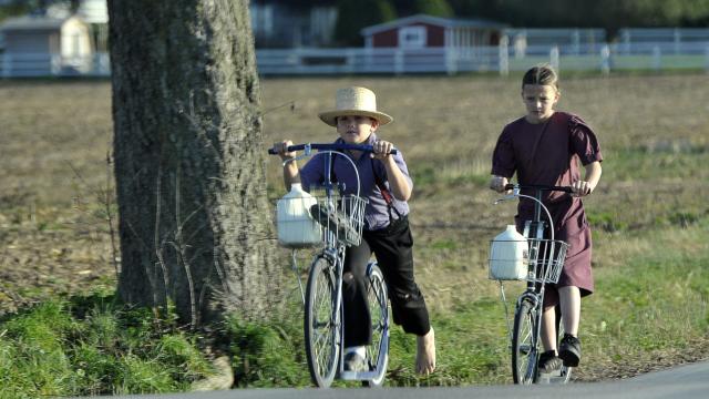 A Genetic Mutation Is Responsible For Mysterious Deaths In The Amish Community, Researchers Say
