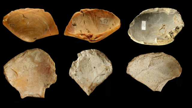 Free-Diving Neanderthals Gathered Tools From The Seafloor