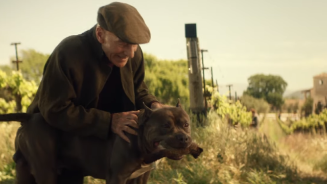 The First Clip From Star Trek: Picard Stars A Very Good Boy