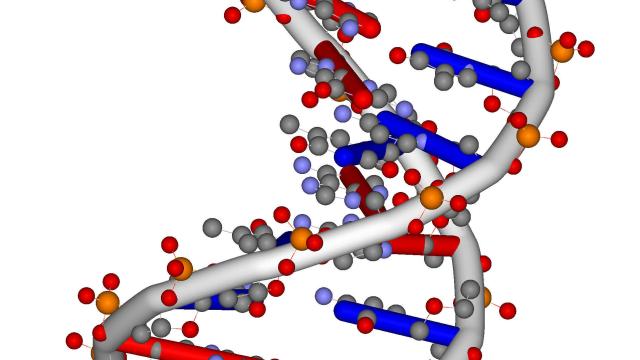 Using A DNA-Based ‘Computer,’ Scientists Get The Square Root Of 900