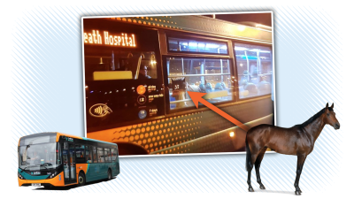 Horse Rides Bus