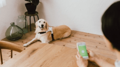 CES 2020: Japanese Company Has Created A Harness That Tells You What Mood Your Dog Is In