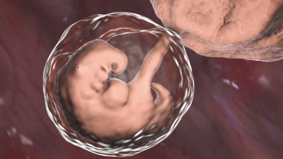 Chinaâ€™s Failed Gene-Edited Baby Experiment Proves Weâ€™re Not Ready For Human Embryo Modification