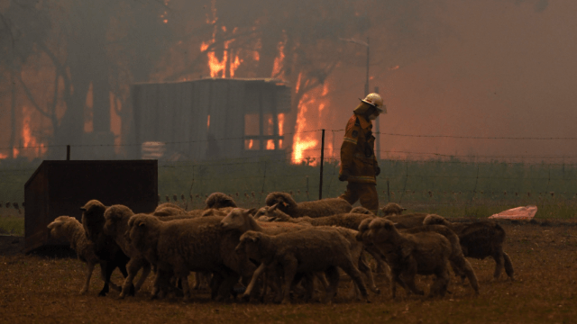 Out Of Control, Contained, Safe? What Each Bushfire Status Actually Means