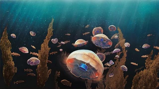 Scientists Created A Cyborg Jellyfish That Can Swim 3 Times Faster