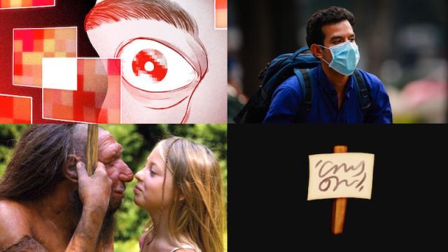 Amazon Horrors, Buttholes On Facebook And The Truth About Face Masks: Best Gizmodo Stories Of The Week