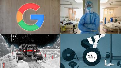 Influencer Arrests, Sea Eagles Torturing Bats And HIV Drugs To Treat Coronavirus: Best Gizmodo Stories Of The Week