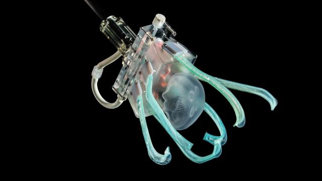 This Noodle-Fingered Robot Is A Friend To Jellyfish