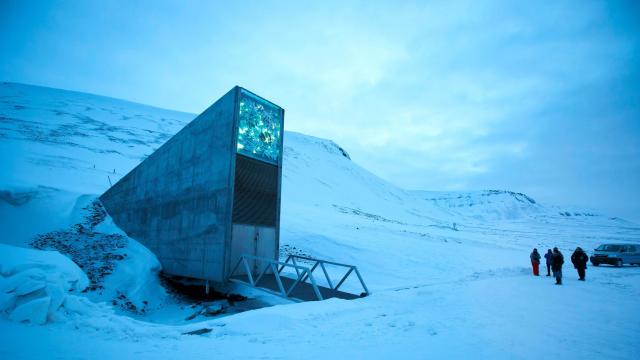 The Cherokee Nation Becomes First U.S. Tribe To Store Seeds In Svalbard Doomsday Vault