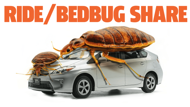 Dallas Exterminator Treats ‘5 To 10’ Ride Share Cars A Week For Bed Bug Infestations
