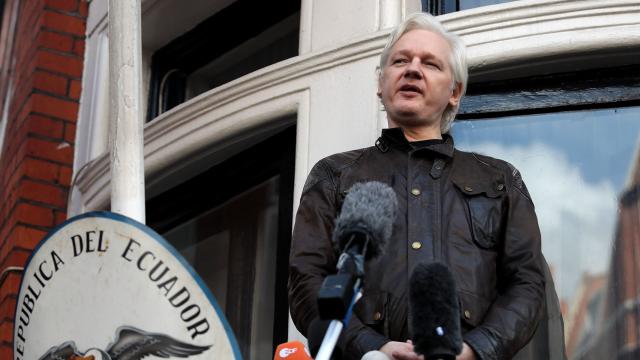 Julian Assange Lawyers To Argue Trump’s New Intel Chief, Richard Grenell, Sought Shady Extradition Deal