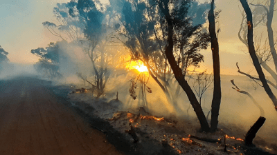 I Made Bushfire Maps From Satellite Data, And Found A Glaring Gap In Australiaâ€™s Preparedness