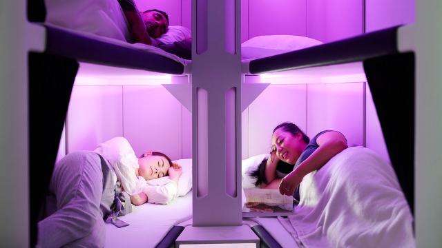 Economy Bunk Beds Are Coming To Air New Zealand