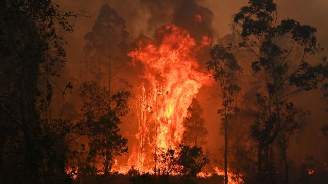 We Now Know How Much Climate Change Contributed To Australia’s Disastrous Bushfires