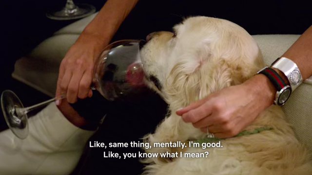 Netflix’s Love Is Blind Is Like If A Drunk Dog Made A Dating Show