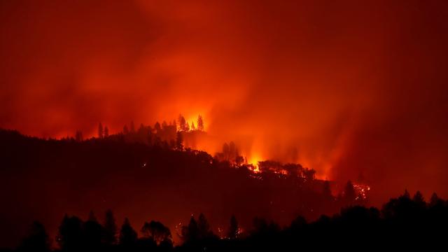 PG&E Pleads Guilty To Manslaughter For Camp Fire Deaths