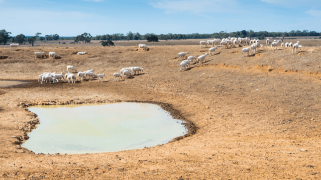 A Rare Phenomenon Brings Severe Drought To Australia, And Climate Change Means It’s More Common