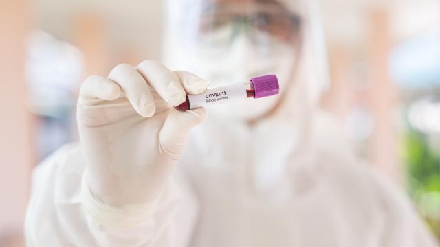 Australia’s Got 1.5 Million ‘Rapid’ Coronavirus Tests On The Way