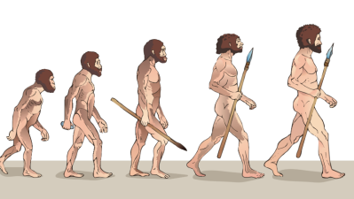 Evolution: That Famous â€˜March Of Progressâ€™ Image Is Just Wrong