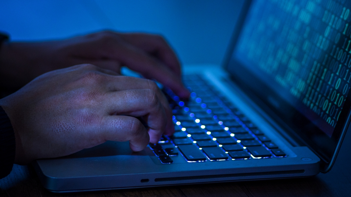 hacker cyberattack lion beer milk A computer programmer or hacker prints a code on a laptop keyboard to break into a secret organization system.