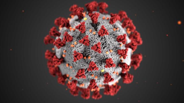 Coronavirus Cases Hit 1 Million Worldwide As Deaths Top 50,000
