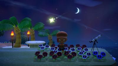 I Wish Animal Crossing Treated Islands More Like Real Life