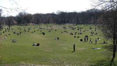 NYC May Temporarily Bury Coronavirus Victims In A Public Park
