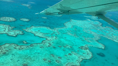 ‘It’s Horrific’: Climate Change Is Killing The Great Barrier Reef