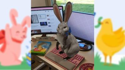 Google’s AR Easter Bunny Can Still Visit This Holiday Weekend, Even If You’re Stuck Inside