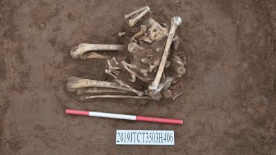 Kneeling, Decapitated Skeleton Offers Evidence Of Ancient Chinese Sacrificial Custom