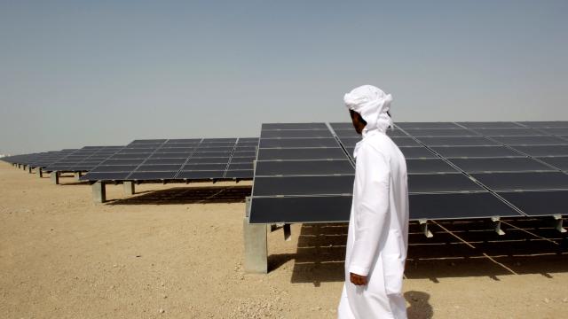 The World Just Set A Record For The Cheapest Solar Farm