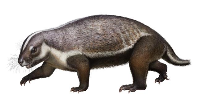 ‘Crazy Beast’ Fossil Discovered In Madagascar Reveals Bizarre Mammal From The Cretaceous