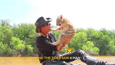 NSFW: There Are No Words To Adequately Describe This Tiger King Dildo