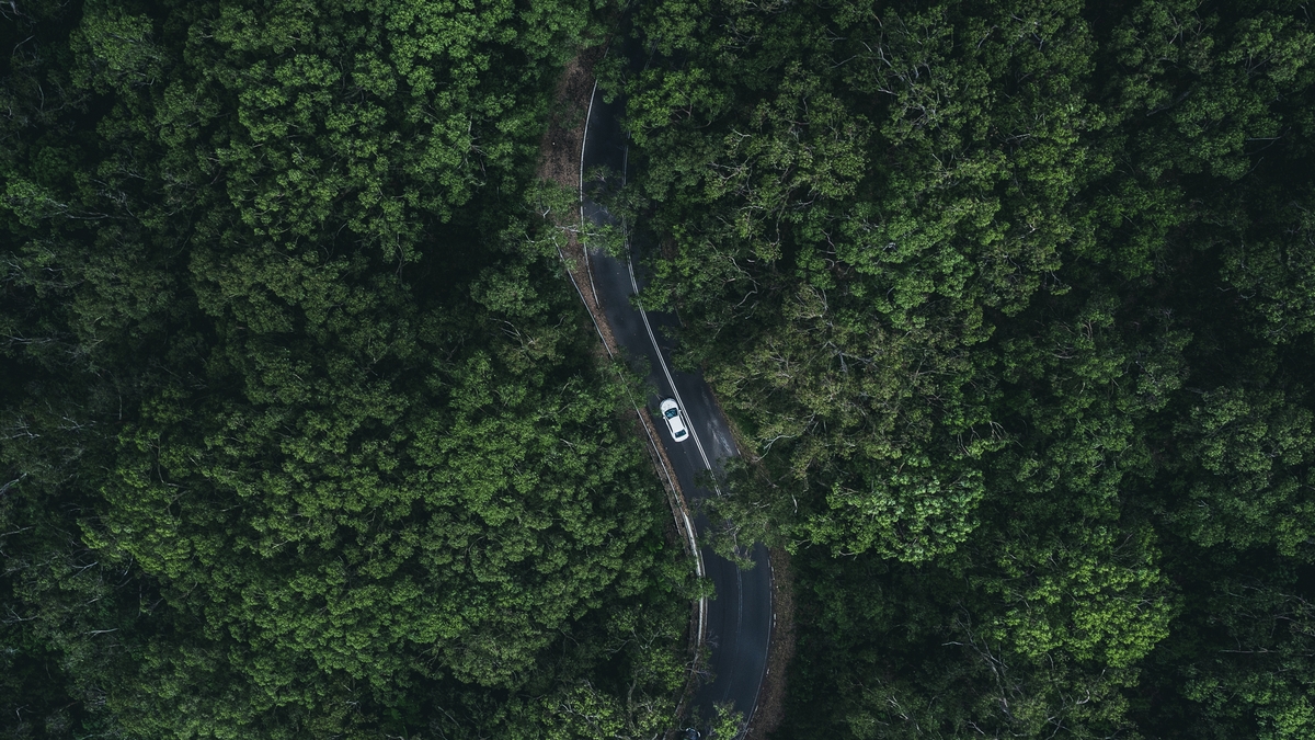 Car driving through a forest as seen from above, South Australia