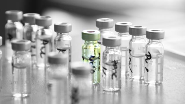 WHO Warns Against Using TB Vaccine For Coronavirus Just As Australia Begins Human Trials