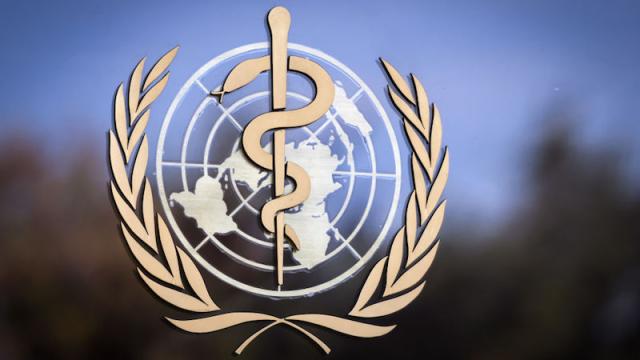 Report: WHO Is Launching A Coronavirus Symptom Checker App For Countries That Do Not Have One