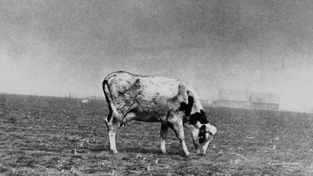 Carbon Emissions Have More Than Doubled The Chances Of Another Dust Bowl