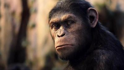 All 9 Planet Of The Apes Movies, Ranked