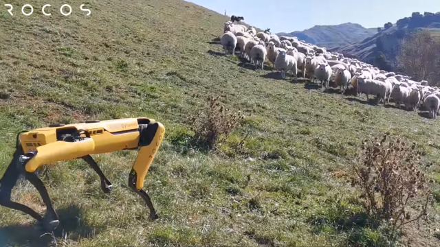 Boston Dynamics’ Robodog Roams New Zealand Countryside with a New Purpose: Sheep Herding