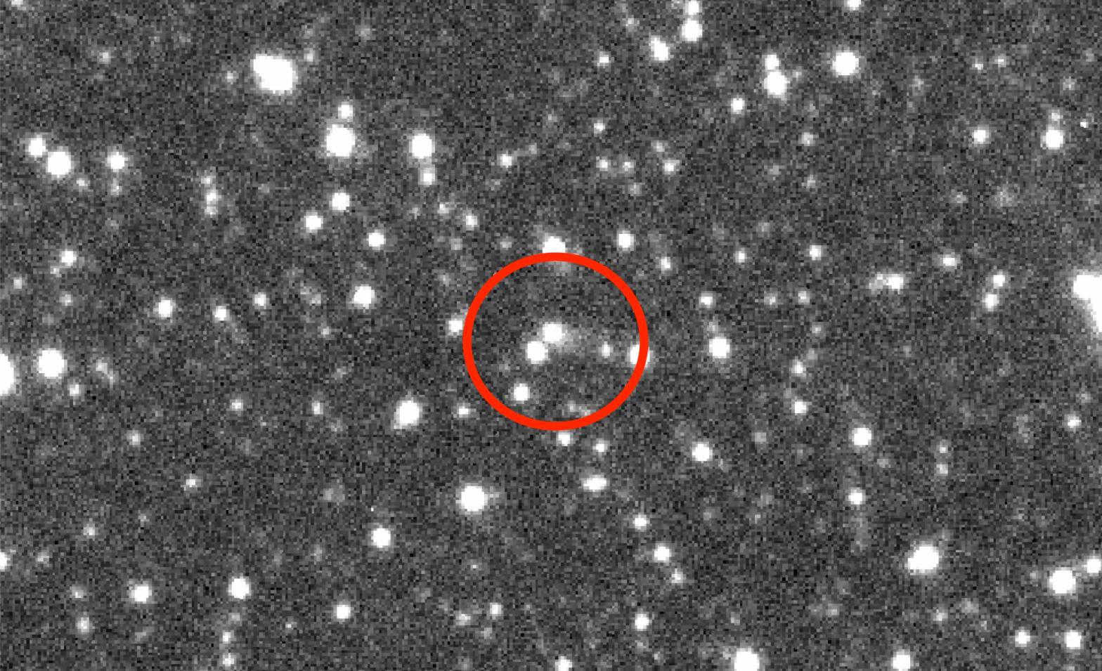 The newly re-designated Comet P/2019 LD2 (ATLAS) as observed on June 11, 2019, using the Las Cumbres Observatory Global Telescope (LCOGT) Network in Chile. (Image: JD Armstrong/IfA/LCOGT)