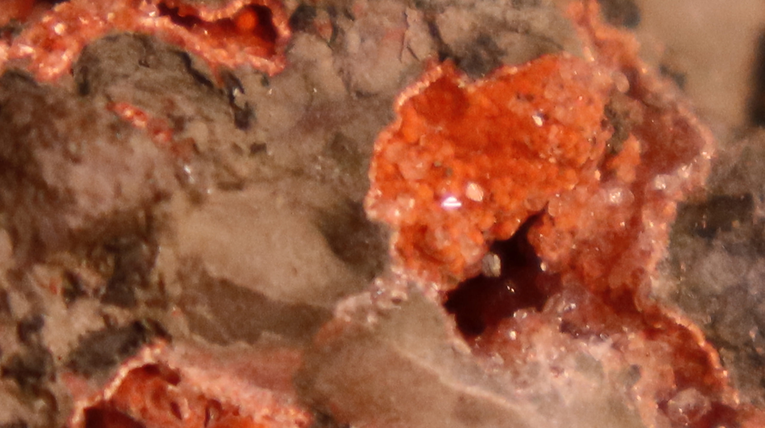Hydrothermic minerals pulled from the Chicxulub crater.  (Image: David A. Kring)