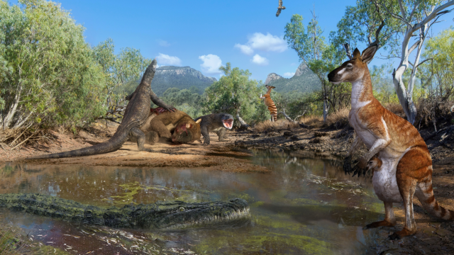 Humans Coexisted With Three-Tonne Marsupials And Lizards As Long As Cars In Ancient Australia