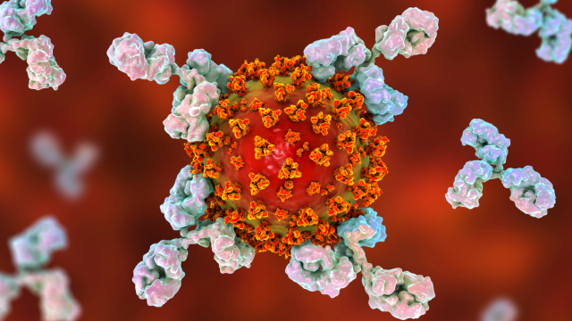 4 Unusual Things We’ve Learned About Coronavirus Since the Start of the Pandemic