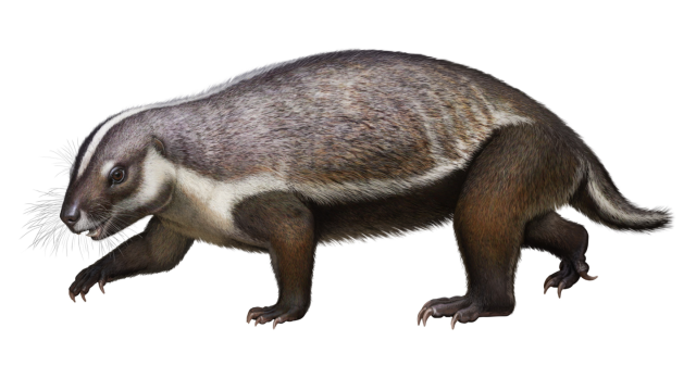 Say Hello To The â€˜Crazy Beastâ€™ Mammal Who Lived Among The Dinosaurs