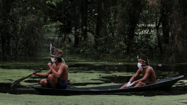 ‘A New Pandemic’: Coronavirus Threatens Indigenous People In The Amazon As Fire Season Nears