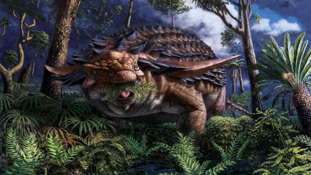 Fossilized Stomach Contents of Armoured Dinosaur Reveal Its Last Meal